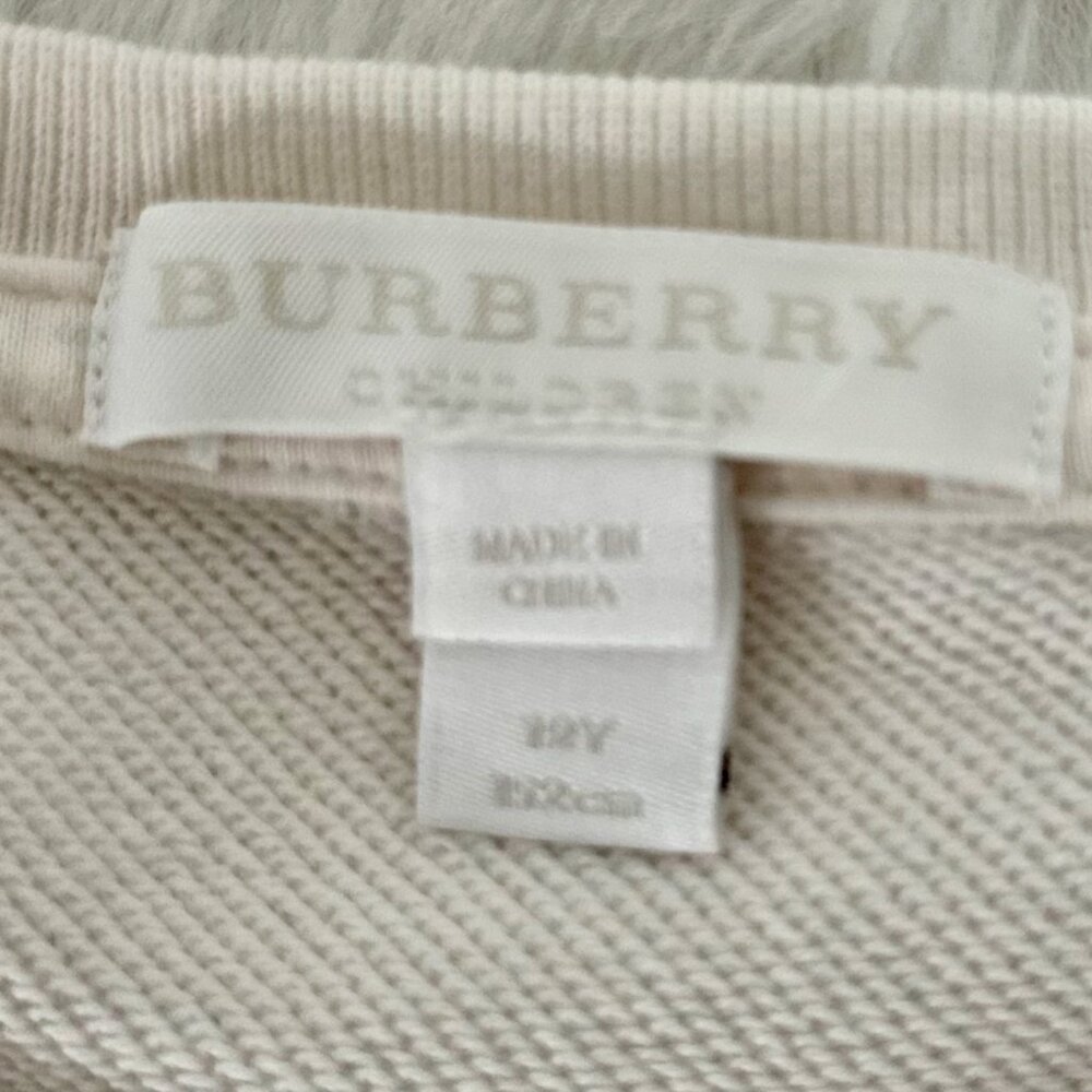 Burberry “Rain Check” Graphic Sweatshirt - Picture 8 of 9